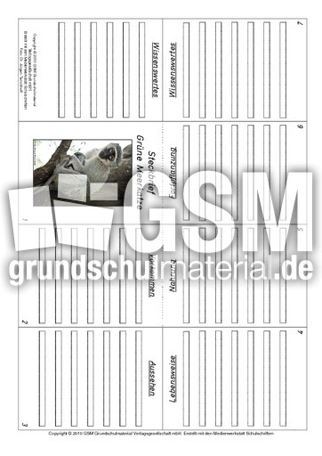 Faltbuch-Grüne Meerkatze.pdf